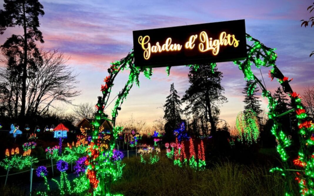 Garden d' Lights Bellevue